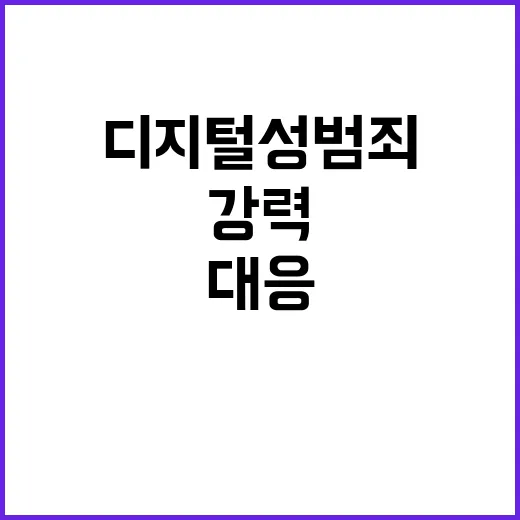 “디지털 성범죄 윤…