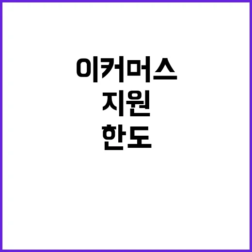 이커머스 지원 한도…