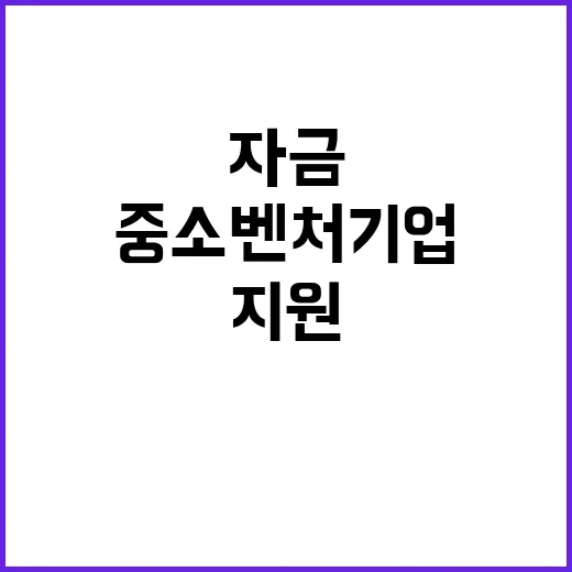 “중소기업 정책자금…