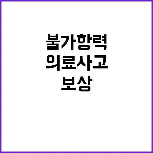 불가항력 보상 상향…