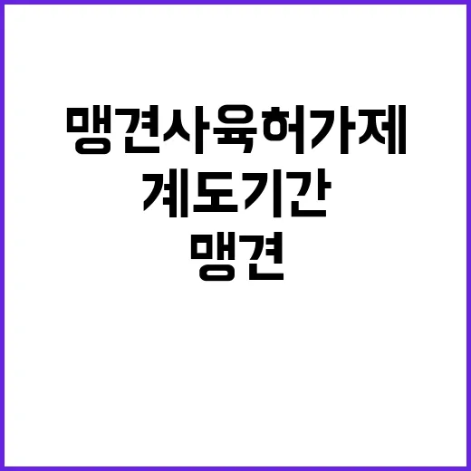 맹견사육허가제 계도기간 동안 놓치는 기회!