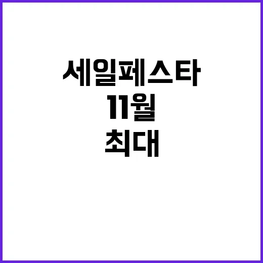 세일페스타 11월 …