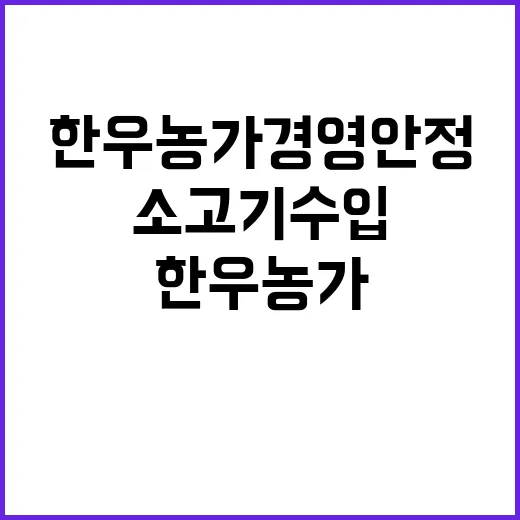 소고기 수입 한우농…