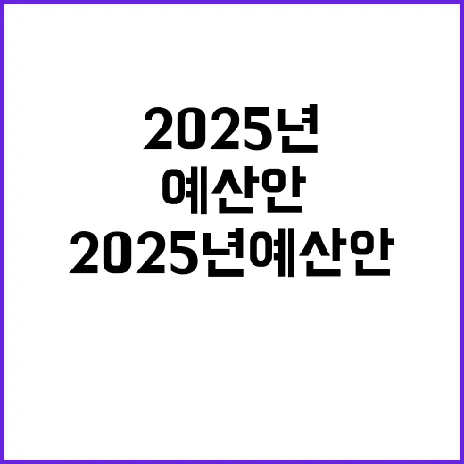 2025년 예산안 정부의 숨은 계획은 무엇?