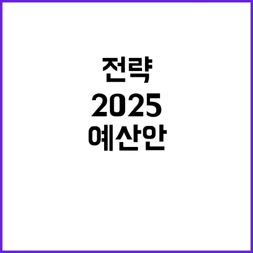 2025 예산안 정부의 숨은 전략 공개!