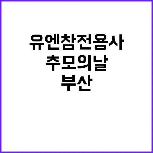 부산 유엔 참전용사…