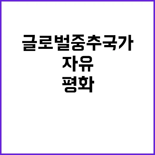 글로벌 중추국가 자…