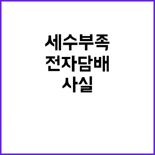 세수부족? 기재부 …