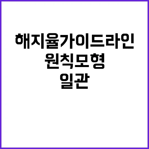 금융위 해지율 가이…