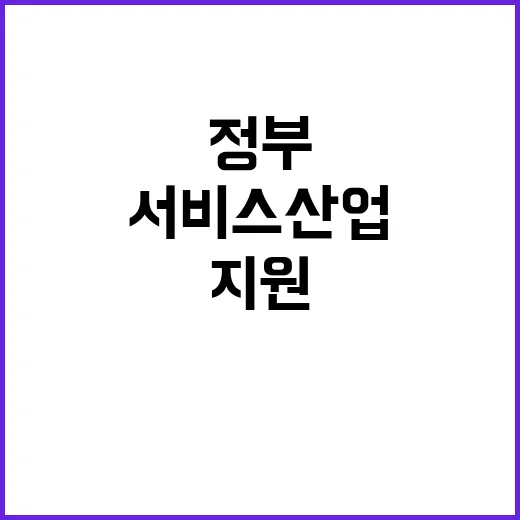 서비스산업 정부 지…