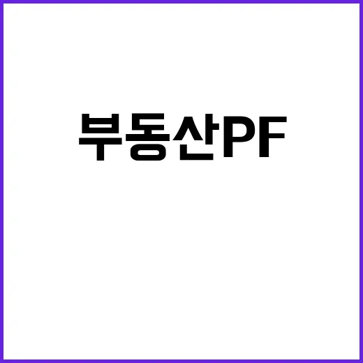 부동산 PF 선진국…