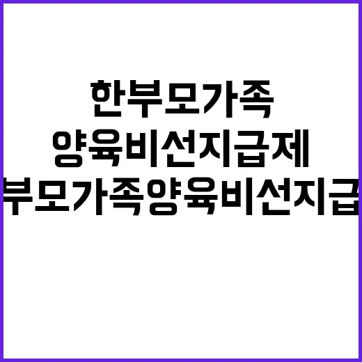 한부모가족 양육비 …