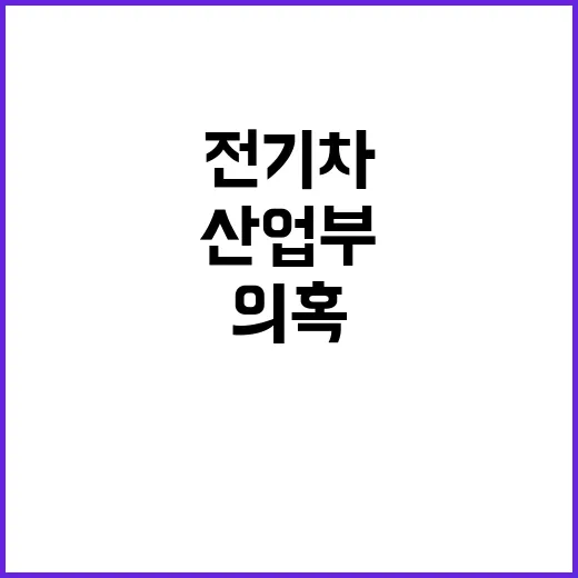 전기차 보조금 산업…