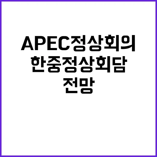 APEC 정상회의 …