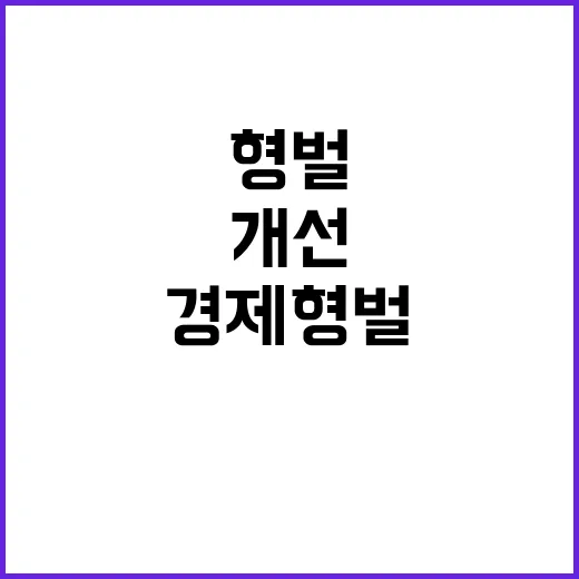 경제형벌 개선과제 …