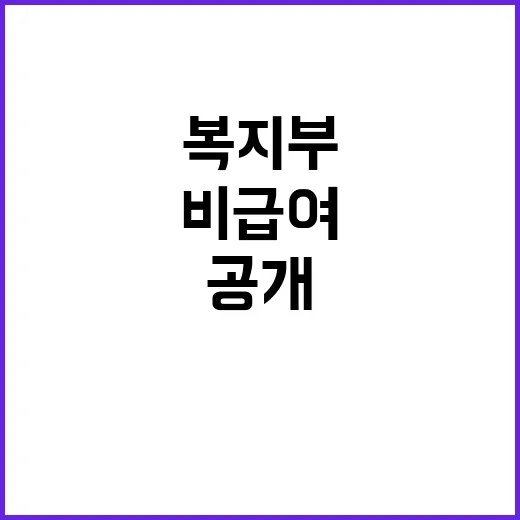 비급여 관리 금융위…