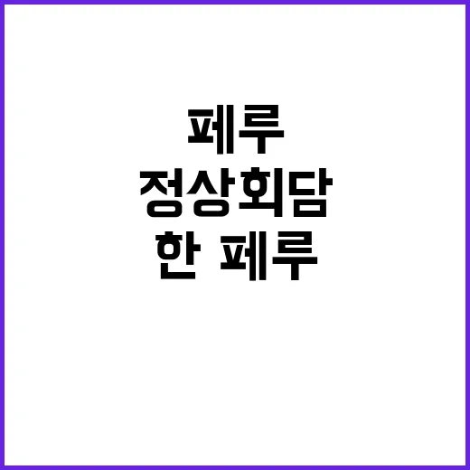 정상회담 한·페루 …