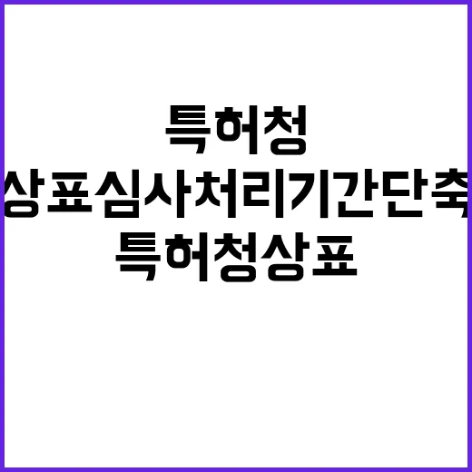 특허청 상표심사 처…