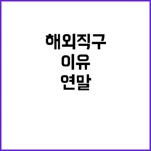 “연말 해외직구 주…