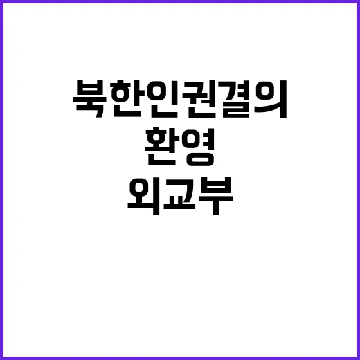 북한 인권 결의 외교부 환영 논평 발표!