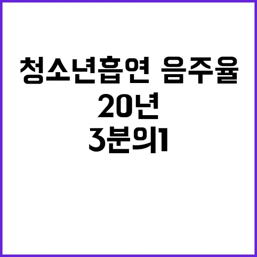 청소년 흡연·음주율 20년 만에 3분의 1 감소!