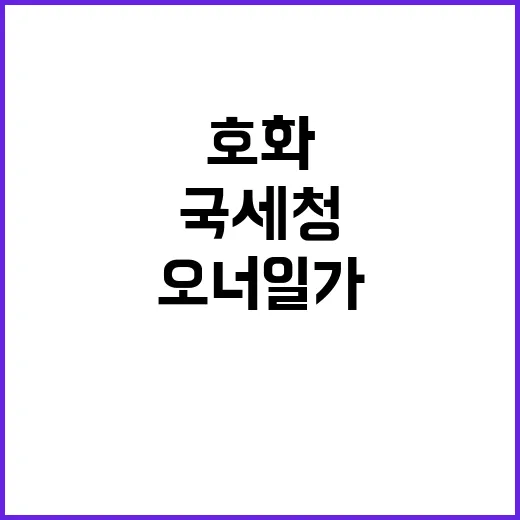 국세청 37명 호화 생활 오너 일가 세무조사!