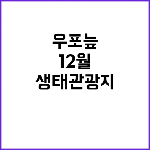 우포늪 12월 최고의 생태관광지로 주목받다!