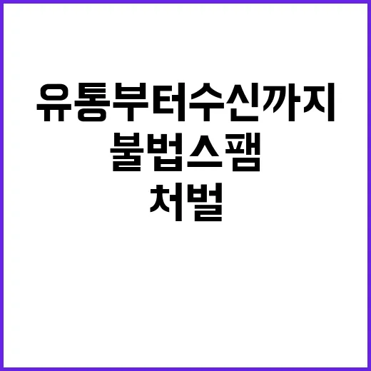 불법스팸 처벌 유통…