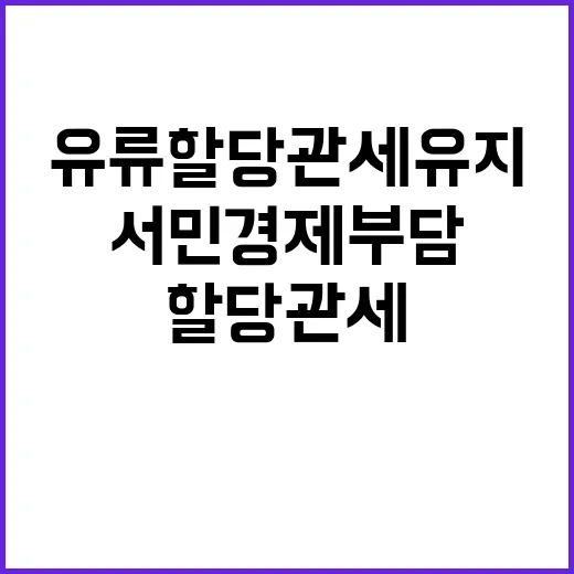 유류 할당관세 유지 서민 경제 부담 경감 소식!