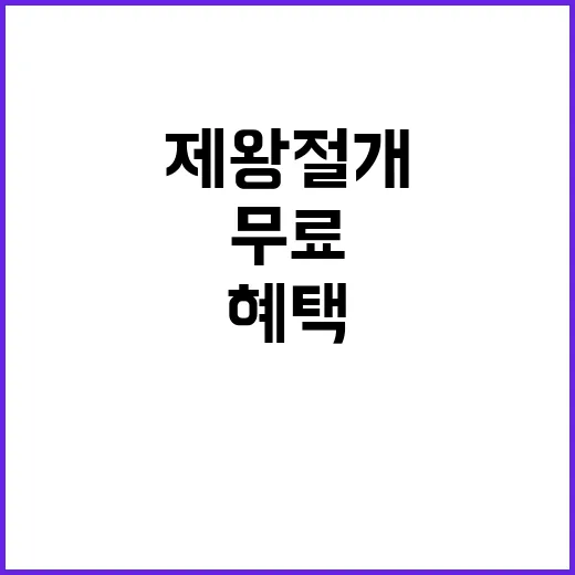 제왕절개 무료 혜택 이젠 누리세요!