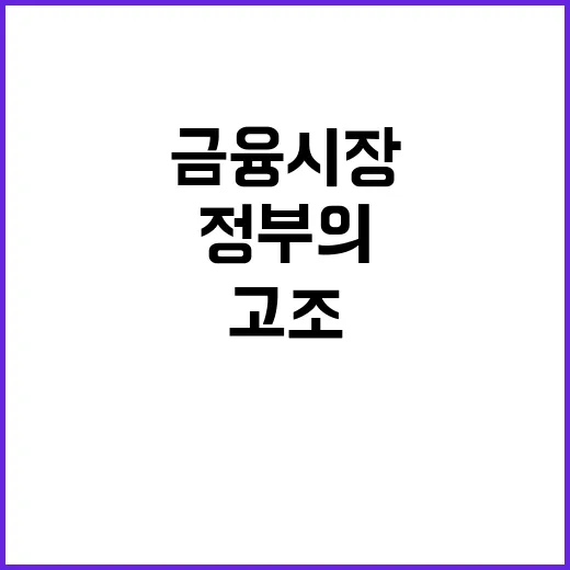 금융시장 정부의 신속한 대응 기대감 고조!