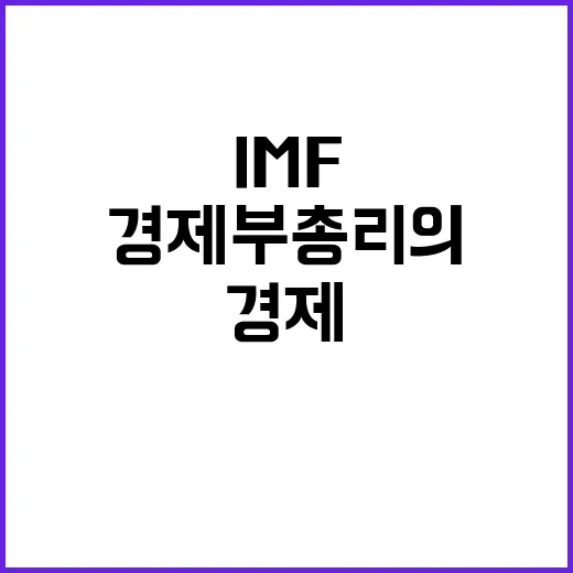 IMF 면담 경제부총리의 국가시스템 정상운영 비밀 공개!