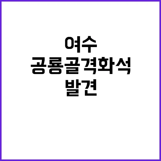 공룡골격화석 발견 여수에서 신비로운 순간!