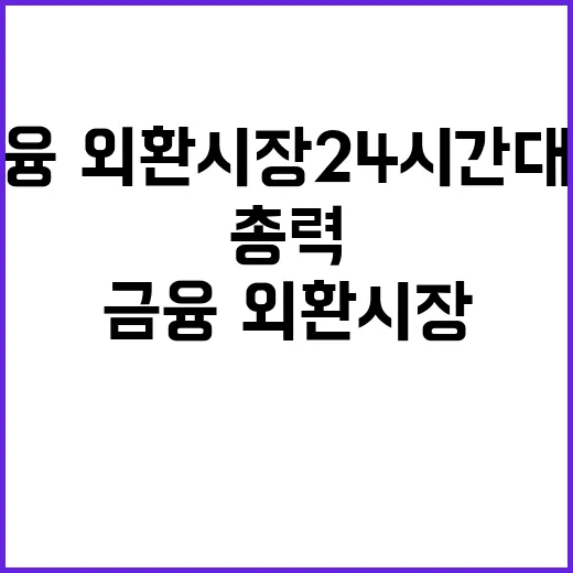 안정세 금융·외환시장 24시간 대응체계 총력!