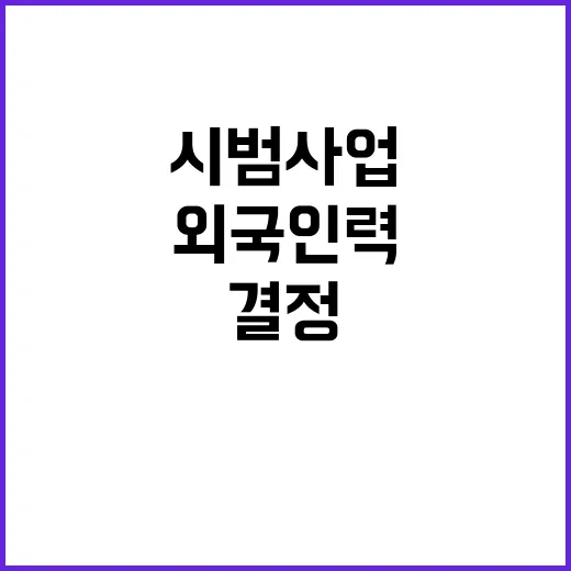 외국인력 시범사업 …