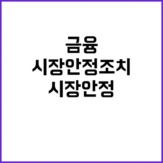 시장안정 조치 금융정책 일관성은 성공 열쇠!