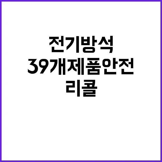 리콜명령 전기방석·…