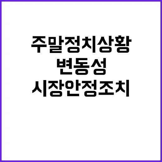 주말 정치상황 변동성 시장안정조치 필요성 주목!