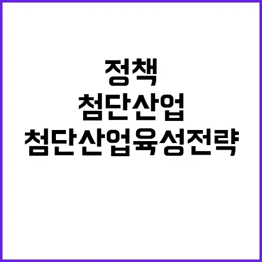 산업정책 차질 없는 첨단산업 육성 전략 공개!