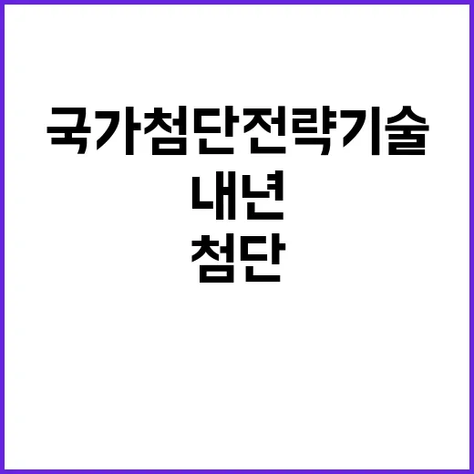 ‘국가첨단전략기술’…