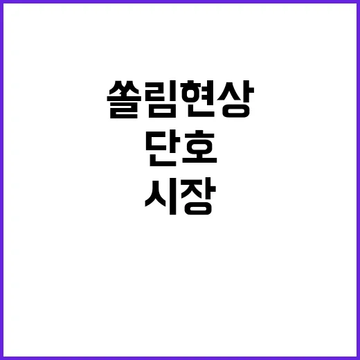 금융시장 단호한 조치 쏠림현상 24시간 점검!