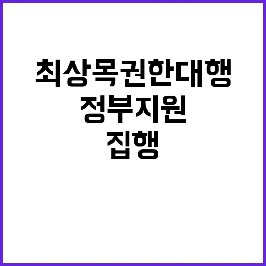 정부지원 최상목 권한대행의 강력한 집행 의지!