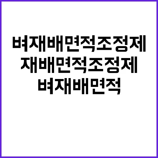 농식품부 벼 재배면…