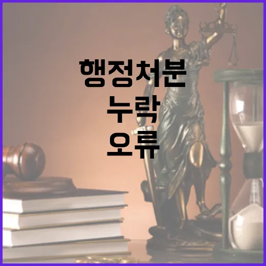 행정처분 보완 기회…