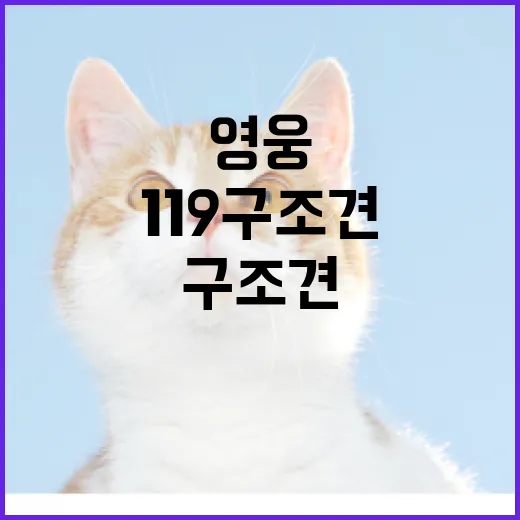 ‘119구조견’ 지난해 27명 구조한 영웅의 행적!