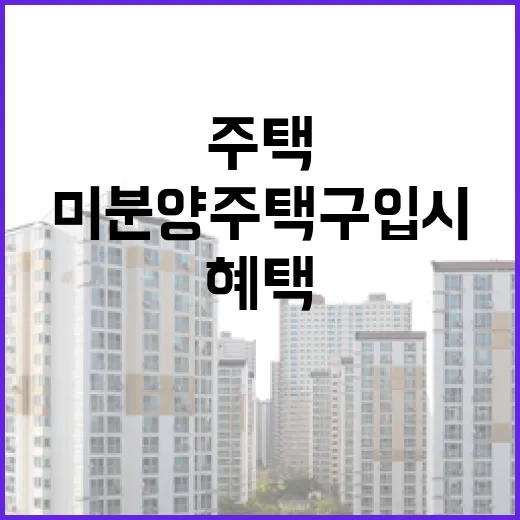 미분양 주택 구입 시 특별 혜택 실화?