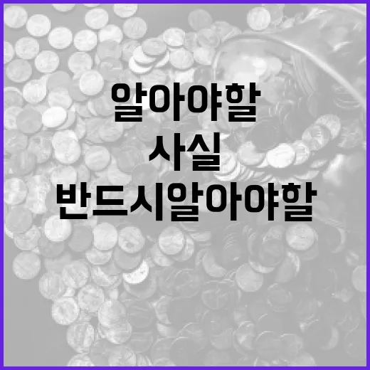 속도와 체감도 지금 반드시 알아야 할 사실!