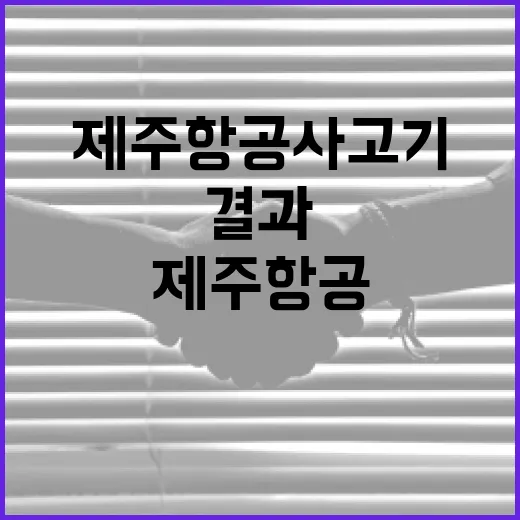 제주항공 사고기 항공사 안전점검 결과 공개!