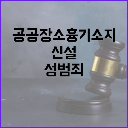 공공장소 흉기소지죄…