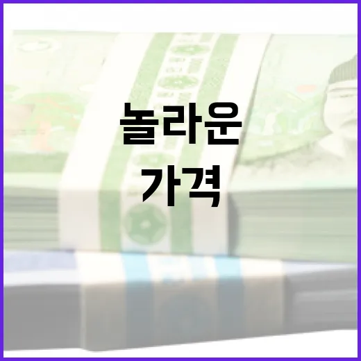 꽃 가격안정 농식품부의 놀라운 사실 공개!